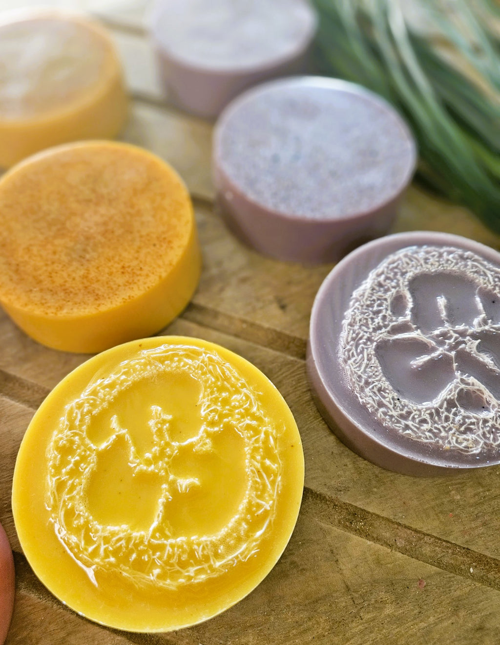 Loofah Soaps- Natural Collection