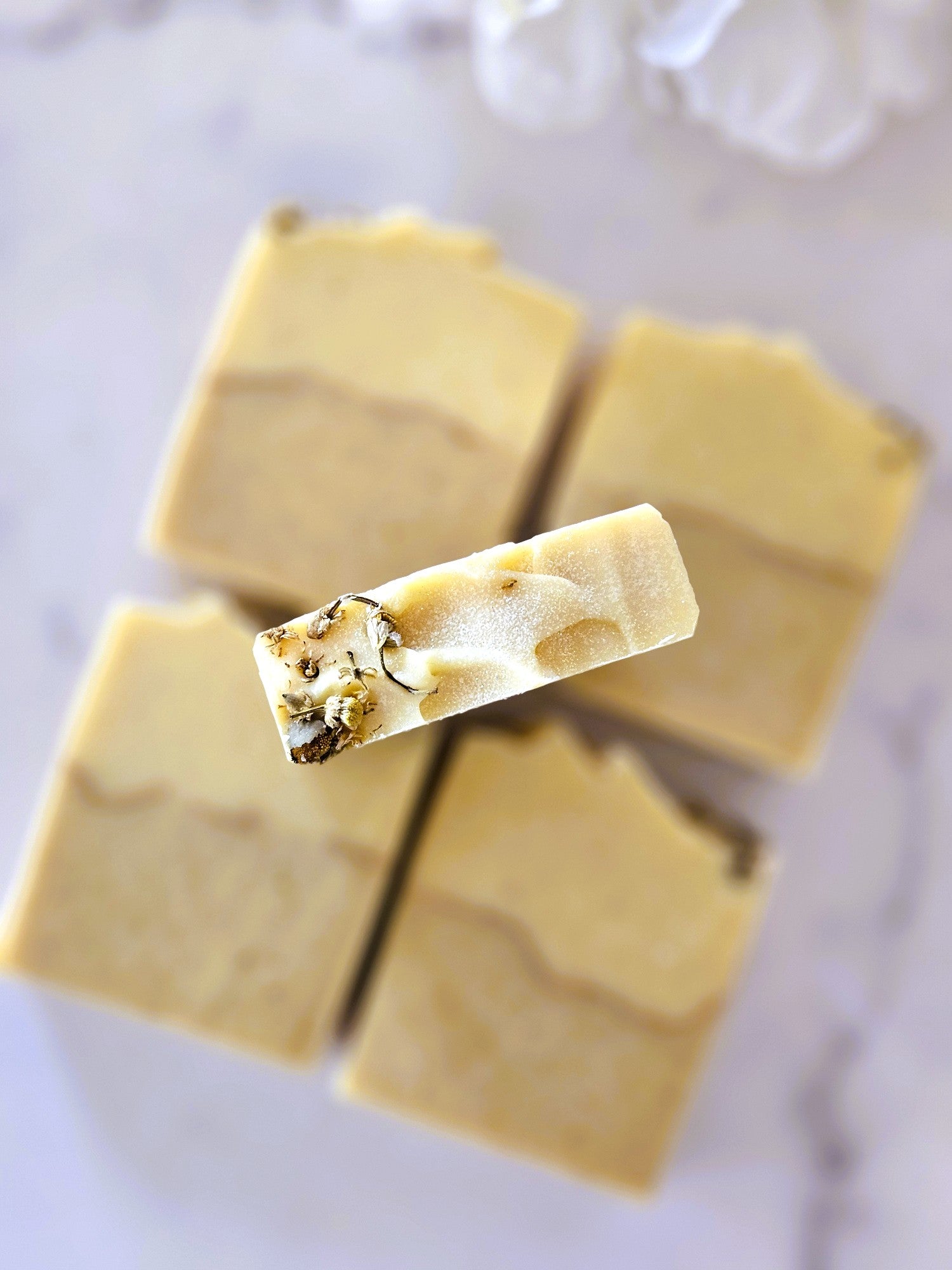 Golden Gardenia