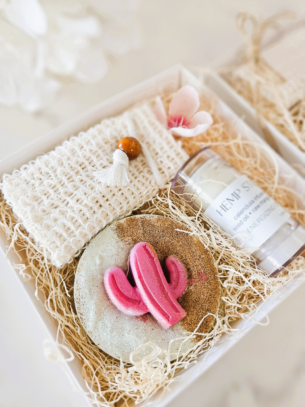 Pink Sky Saguaro | Gift Set